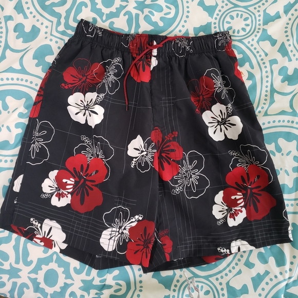 dillards mens swimwear